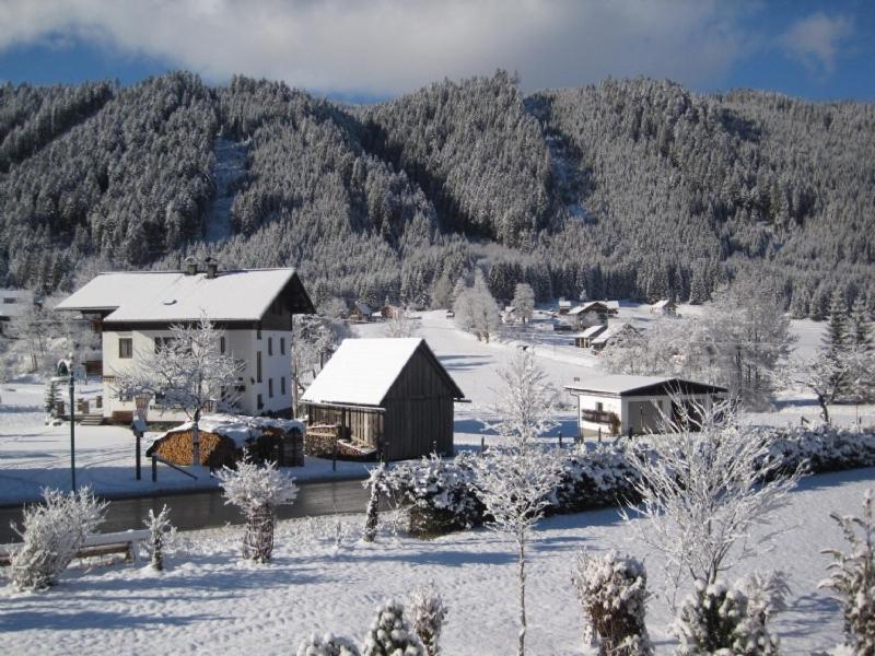 Ferienwohnung Vierthaler Gosau Bagian luar foto